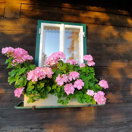 Holiday home Koglegg Wies